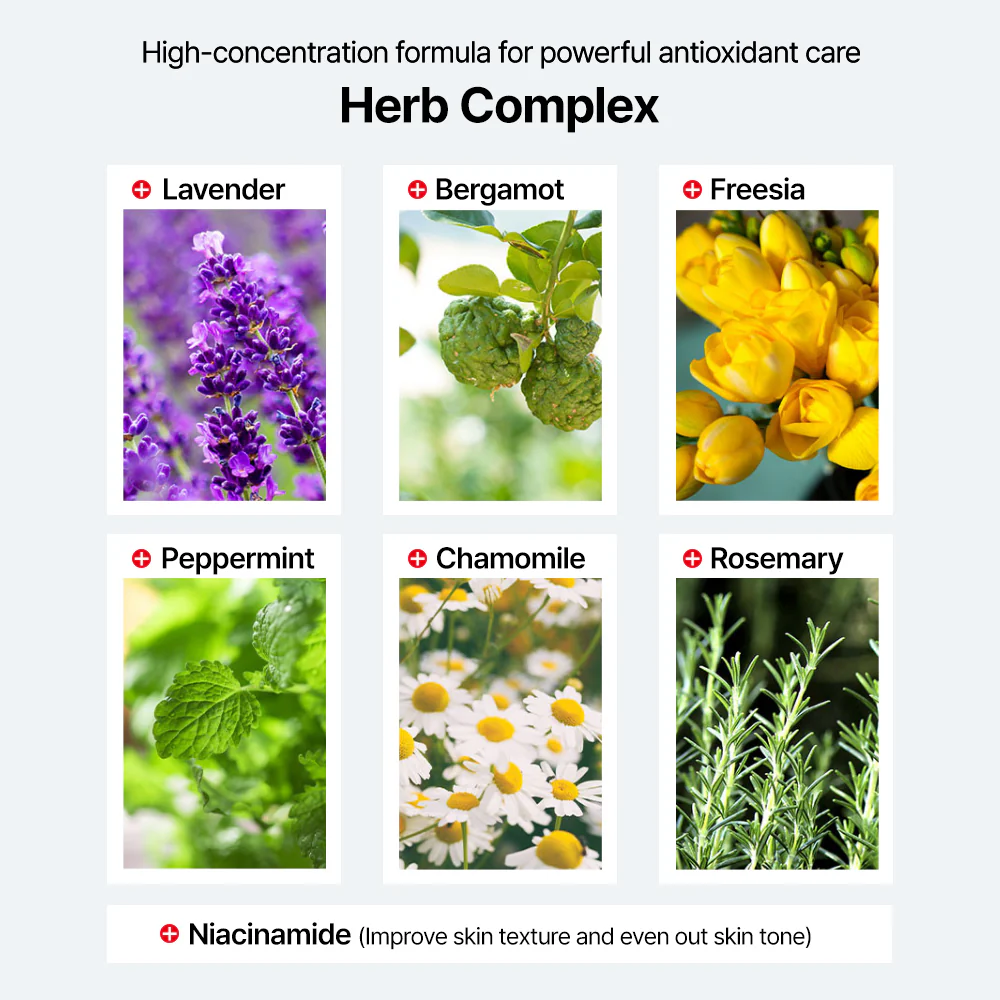 Skintox Wrinkle Fit Expert 5tk.